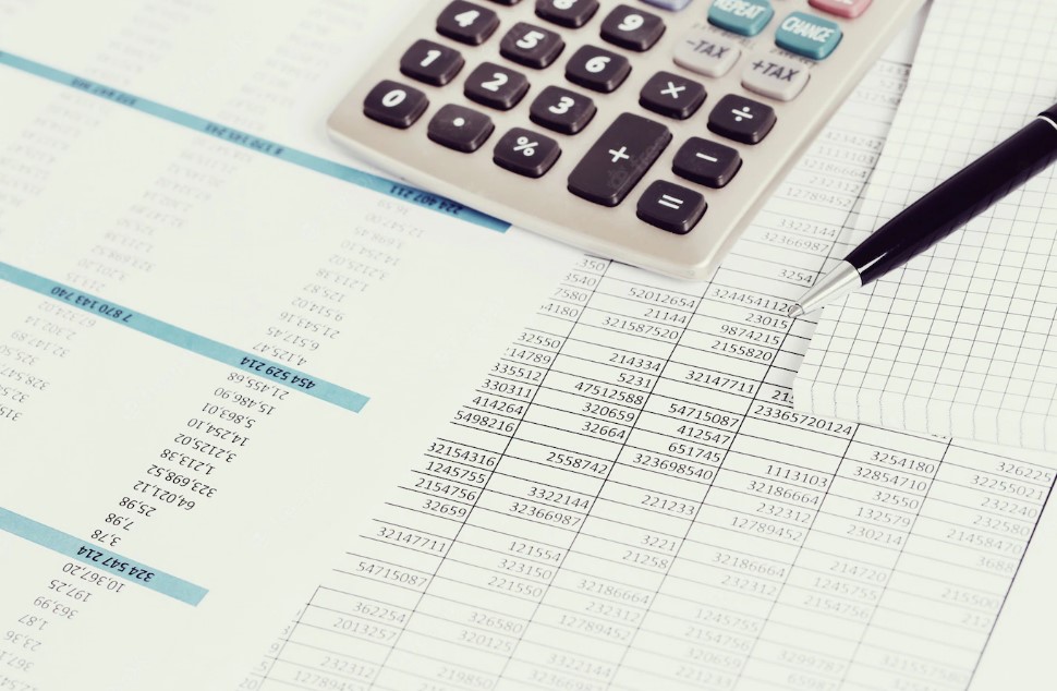 Bütçe Yönetim Hizmetleri