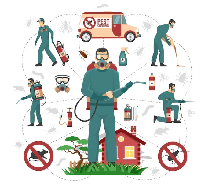 Haşere Pest Kontrol Hizmetleri