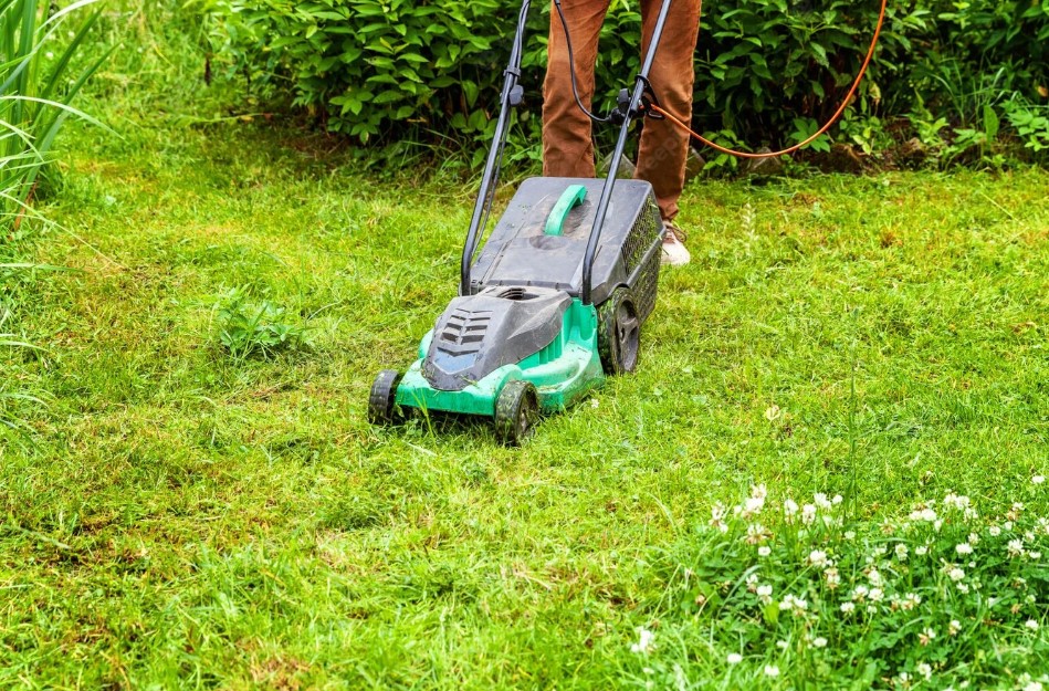 Peyzaj / Bakım Hizmetleri